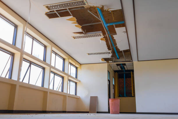  Carthage, TX Water damage restoration Pros
