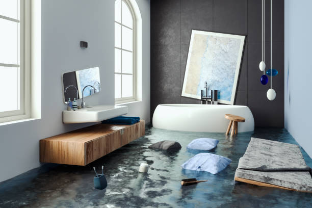Best Mold removal after water damage  in Carthage, TX