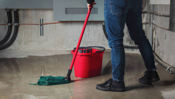 Best Flood damage cleanup  in Carthage, TX