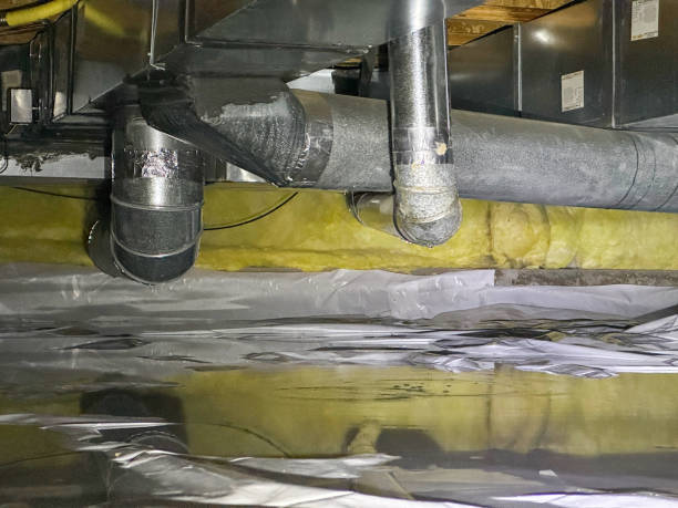 Best Flood restoration services  in Carthage, TX