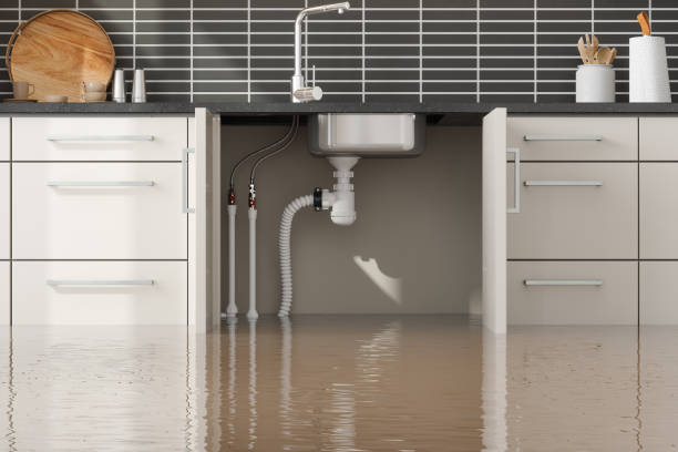 Best Commercial water damage restoration  in Carthage, TX